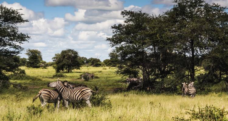 Kruger en profondeur - G Adventures 4