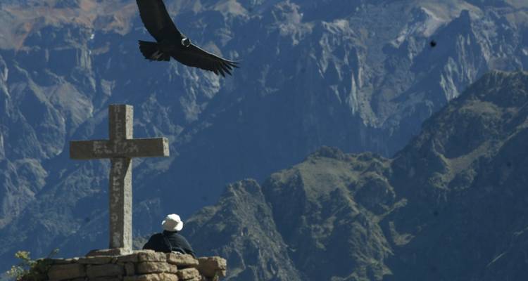 Personne observant un condor volant près d'une croix sur une falaise.