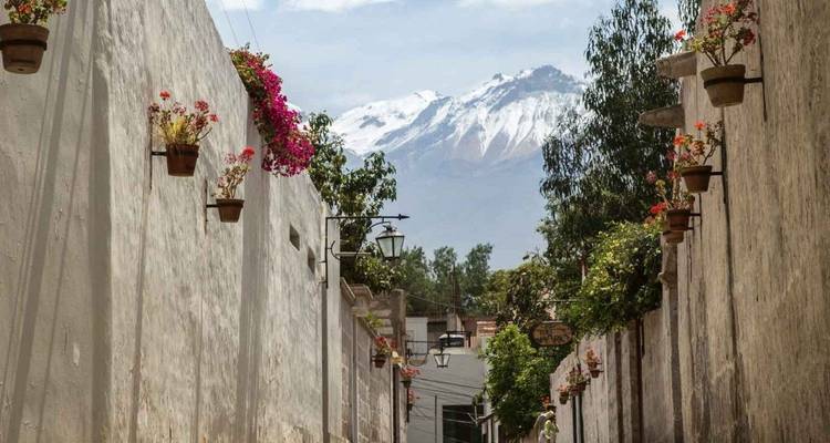 Une rue étroite avec des pots de fleurs et une vue sur une montagne enneigée.