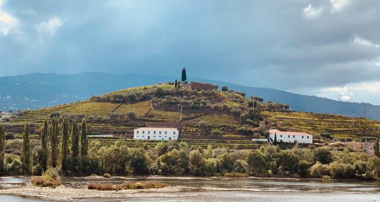 Experiencia del Duero 2025 - A-ROSA 8