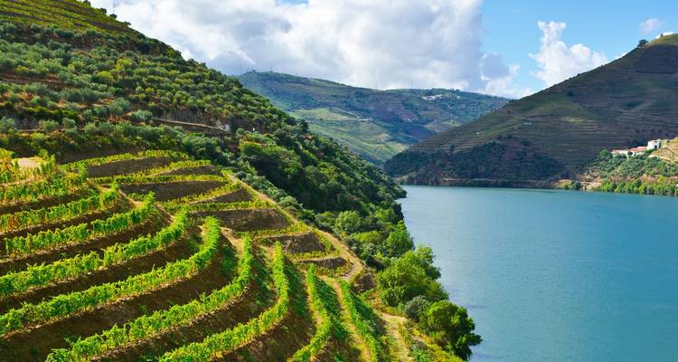 Experiencia del Duero 2025 - A-ROSA 4