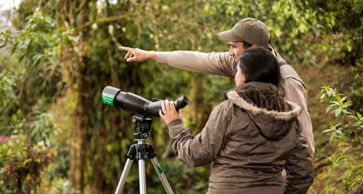 Costa Rica Birdwatching (On Request) - Destination Services Costa Rica 8