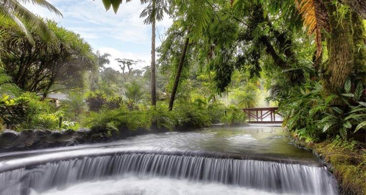 Costa Rica Birdwatching (On Request) - Destination Services Costa Rica 10