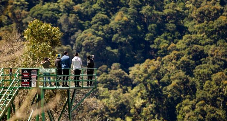 Observation des oiseaux au Costa Rica (sur demande) - Destination Services Costa Rica 10
