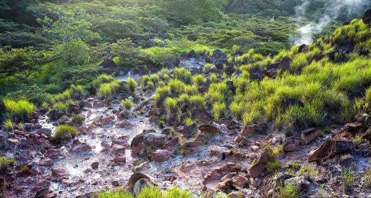Vapor elevándose de una zona geotermal con vegetación exuberante.