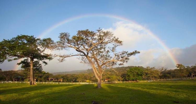 Mystic Waterfalls & Forests Of Costa Rica - Destination Services Costa Rica 2