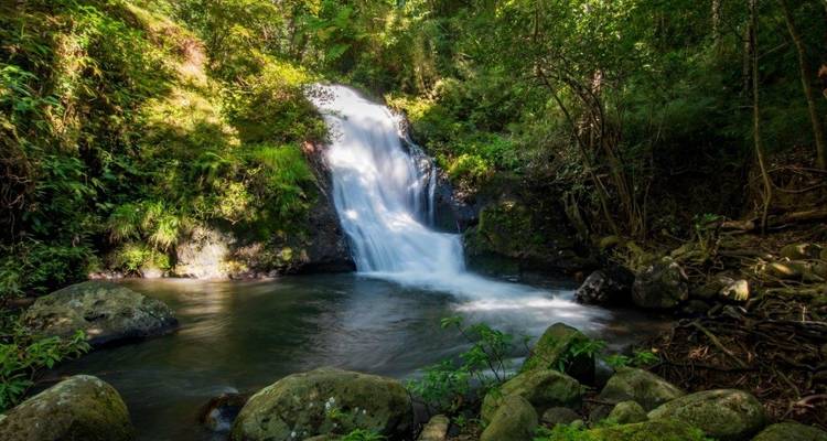 Cascada cayendo en una piscina tranquila en un entorno de bosque.