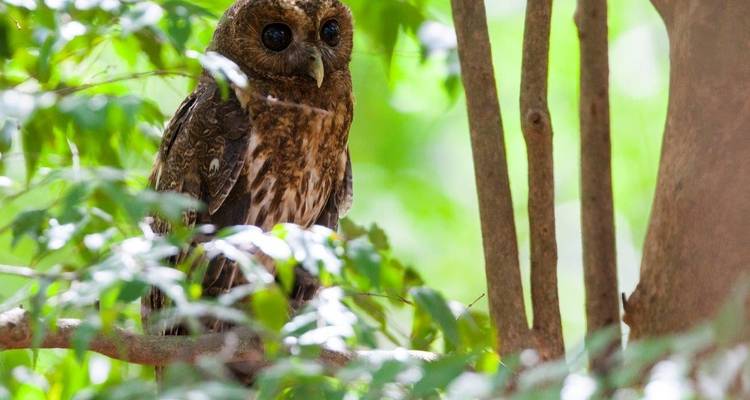 Mystic Waterfalls & Forests Of Costa Rica - Destination Services Costa Rica 8