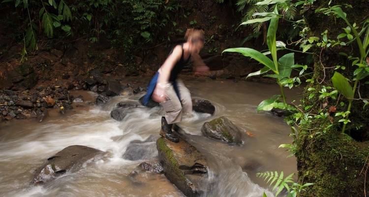 Expédition dans la jungle de Tortuguero, court séjour (sur demande) - Destination Services Costa Rica 3