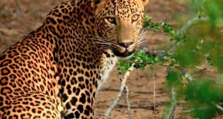 SRI LANKA DISCOVERY TOUR: A WALKING THROUGH TIME - Tweet World Travel 2