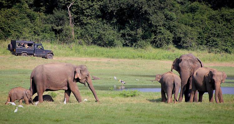 Viaje de lujo a Maldivas y Sri Lanka - Tweet World Travel 8