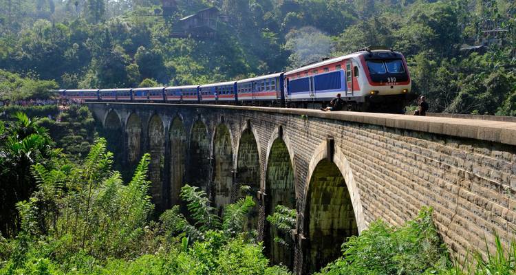 A sleek passenger train crosses a multi-arch stone viaduct through lush jungle scenery.