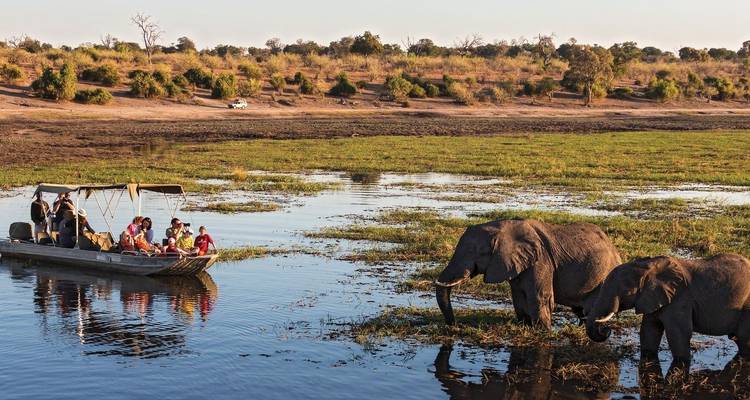 Olifanten bij een rivier met mensen in een boot.