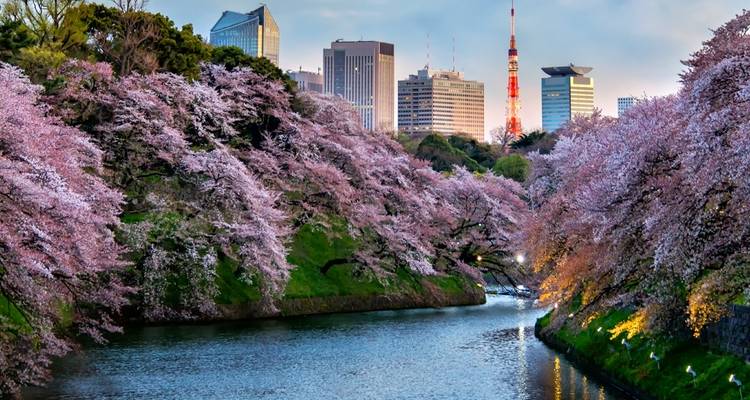 Curso de dibujo manga y lengua japonesa en Tokio - World Unite Japan KK 10