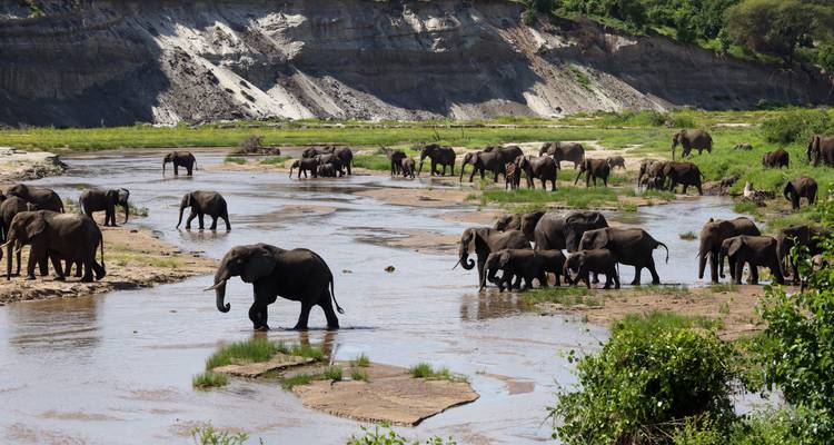 3 Days Affordable Tanzania Safari From Zanzibar - Kilipeak Adventures ltd 8