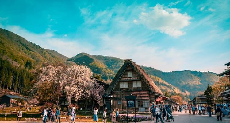 CIRCUIT CYCLISTE AU JAPON : DÉCOUVREZ LE PATRIMOINE JAPONAIS À VÉLO - Tweet World Travel 10