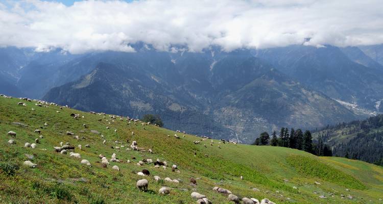 Circuit unique dans l'Himalaya avec visites, Trekking et hébergement dans une famille indienne - Payless tours india 3