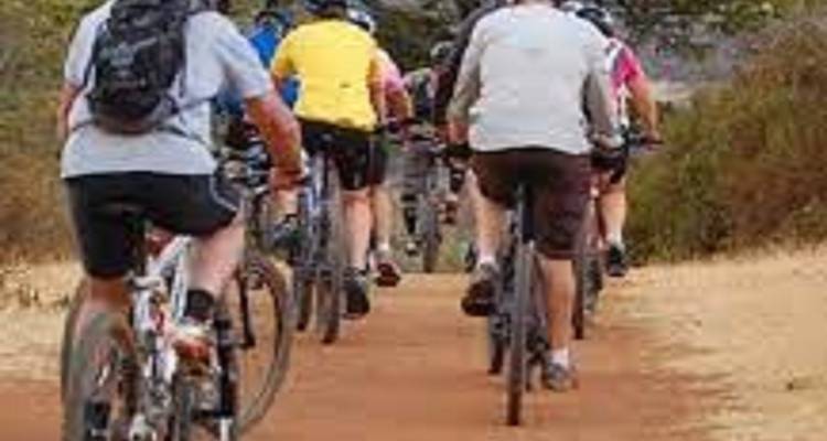 Marangu Route - Bike Tour in 5-Day: The Ultimate Top Climb Kilimanjaro - Africa Natural Tours 3