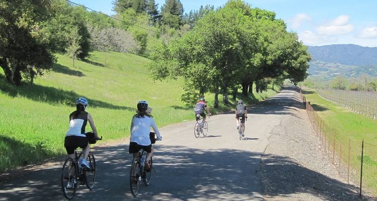 Cycle Sonoma & the Napa Valley - Intrepid Travel 8