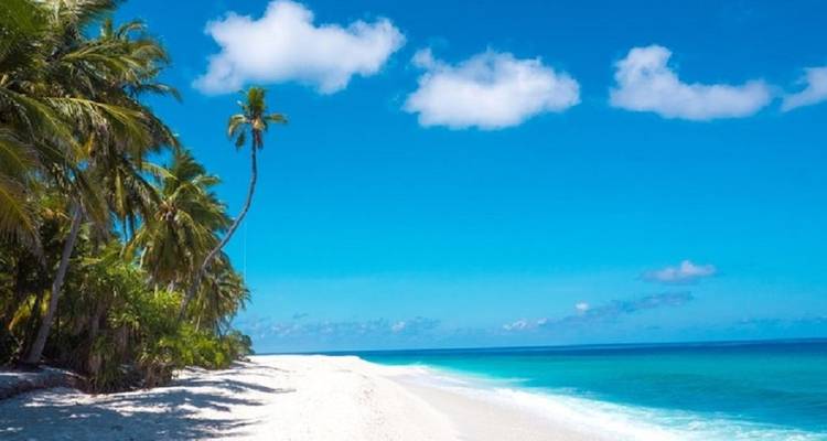 Maldives Adventure of Your Life! - Corallium Tours 1