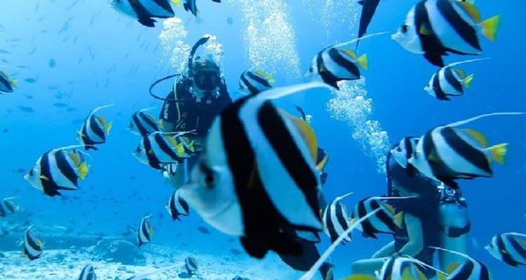 Maldives Adventure of Your Life! - Corallium Tours 6