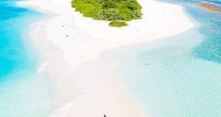 Maldives Adventure of Your Life! - Corallium Tours 8