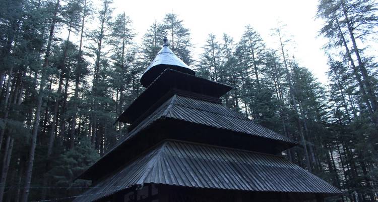 Picos sagrados: expedición a Shimla, Manali, Dharamshala y Amritsar - Agora Voyages OPC Pvt Ltd 4