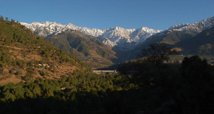 Picos sagrados: expedición a Shimla, Manali, Dharamshala y Amritsar - Agora Voyages OPC Pvt Ltd 8
