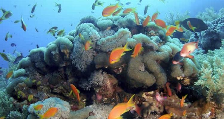 Aventura egipcia - Planet Tours 6