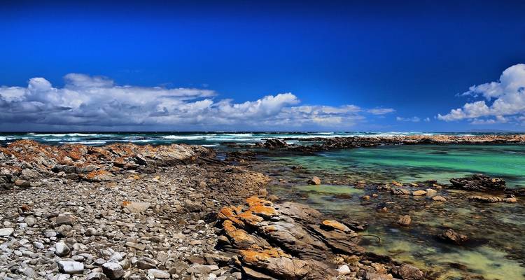 Garden Route et Addo Adventure 9 Jours/8 Nuits - Confort - Across Africa Tours & Travel 6