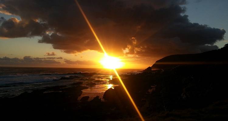 Garden Route et Addo Adventure 9 Jours/8 Nuits - Confort - Across Africa Tours & Travel 10