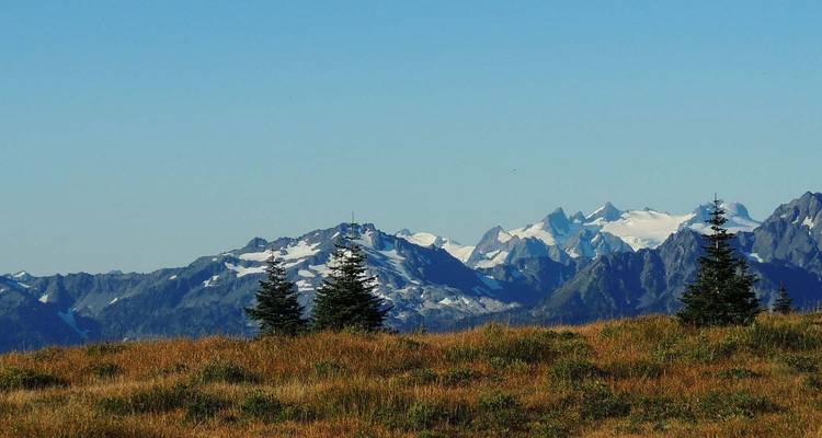 USA - Best of WA - Parcs nationaux des Cascades du Nord et du Mont Rainier - Bucket List Group Travel LLC 4