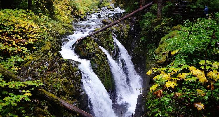 USA - Best of WA - Parcs nationaux des Cascades du Nord et du Mont Rainier - Bucket List Group Travel LLC 6