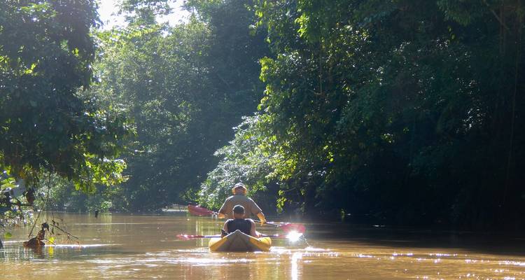 Camping et kayak en Amazonie Découvrez Yasuni 5 jours - Adventure Journeys 7