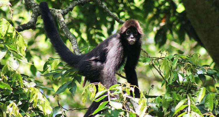 Camping et kayak en Amazonie Découvrez Yasuni 5 jours - Adventure Journeys 10