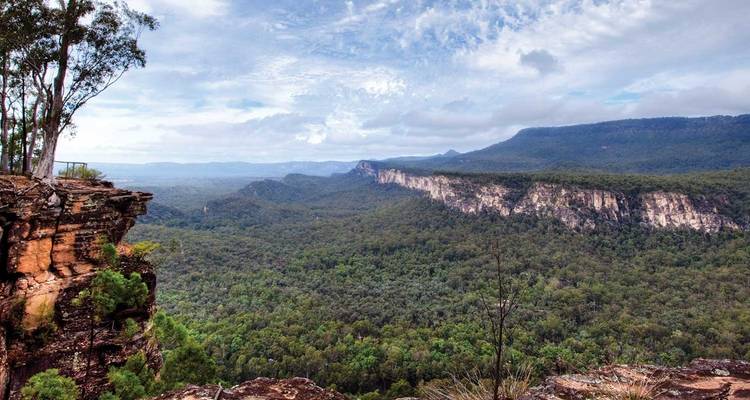 Esencia del Outback - Regreso a Cairns (2024) - APT 2