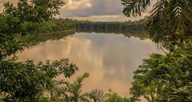 Lac tranquille entouré d'une dense forêt tropicale reflétant un ciel nuageux