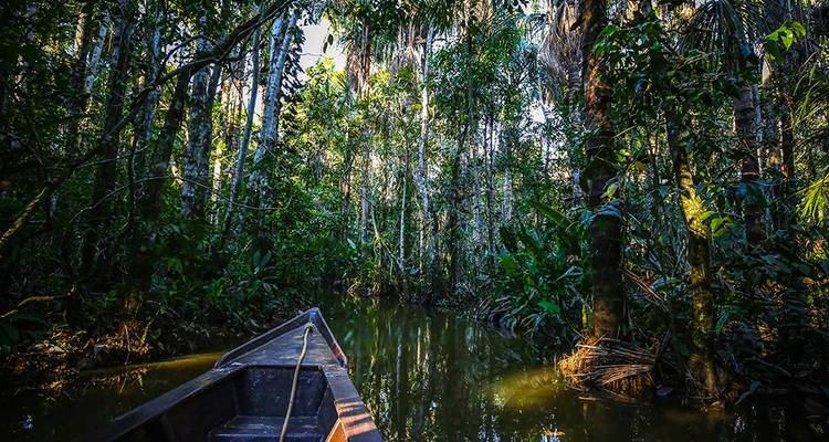 Proue d'un canoe en bois entrant dans un étroit chenal de forêt inondée