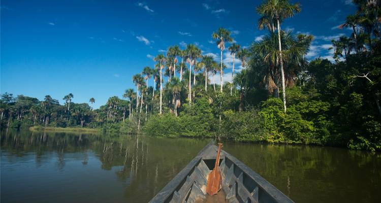 Proue d'un canoë en bois se dirigeant vers de grands palmiers le long d'une rivière de la jungle sous un ciel bleu