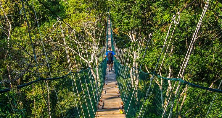 Un pont suspendu à voûte étroite s'étend au-dessus de la jungle amazonienne dense avec un trekker au centre