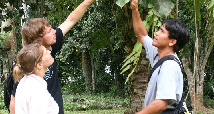 Local guide showing jungle plants to two travellers in a lush rainforest clearing.