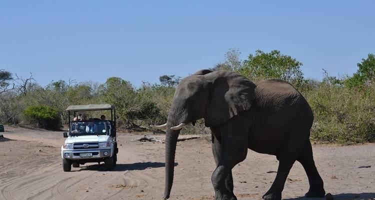 Victoria Falls et; Chobe Xtreme Adventure 5J/4N - de Livingstone - Bamba Travel 10