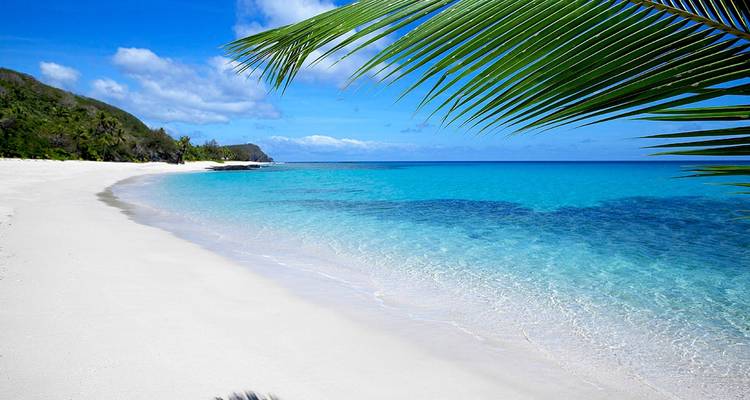 An empty white-sand beach with turquoise water framed by a green palm frond under a blue sky.