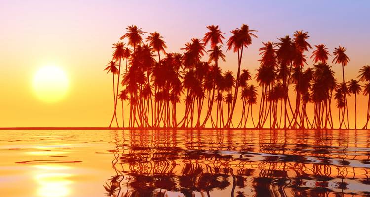 Silhouetted palm trees stand on a low island against a vivid orange and purple sunset reflected in calm water.