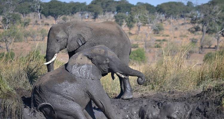 Victoria Falls et; Chobe Xtreme Adventure 5J/4N - de Victoria Falls - Bamba Travel 9