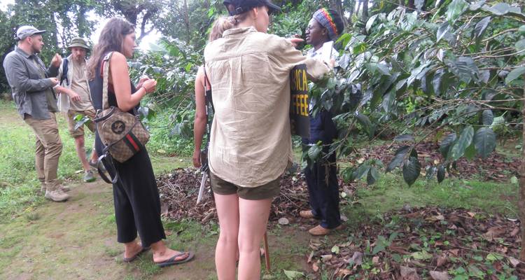 Toeristen die leren over de lokale flora, in gesprek met een gids.