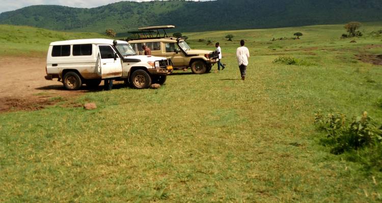 L'ultime voyage d'aventure privé : Excursion d'une journée dans le cratère du Ngorongoro au départ d'Arusha. - Africa Natural Tours 4