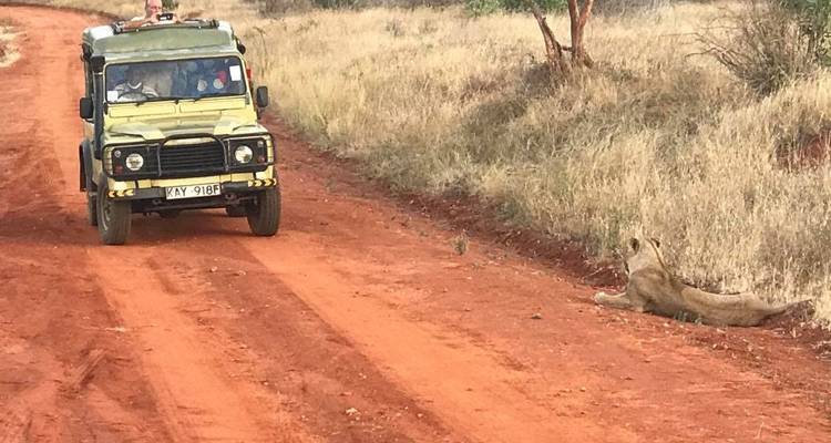 Overnight safari to Tsavo East from Diani - Perfect Wilderness Tours And Safaris 8
