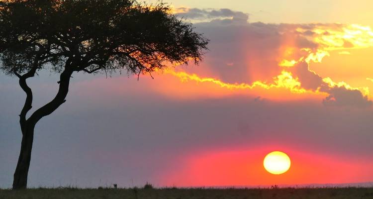 Overnight safari to Tsavo East from Diani - Perfect Wilderness Tours And Safaris 10