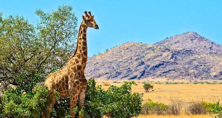 Okavango Adventure Tour (14 days) - Chamaeleon 6